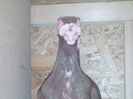 IMG_20150729_182440-1