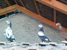 IMG_20150729_092549-1