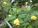 DSC00716