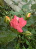 DSC00722