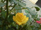 DSC00723
