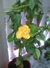 IMG_20150731_100408