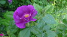 DSC01080