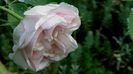DSC01085