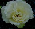 DSC01087