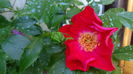 DSC01097