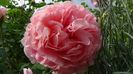 Abraham Darby
