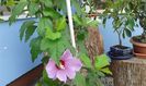 20150731_113028