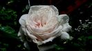 DSC01295