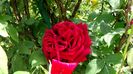DSC01405