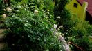 DSC01500