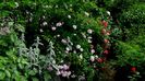 DSC01501