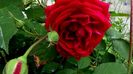 DSC01503