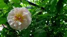 DSC01521