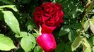 DSC01586