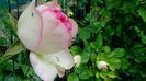 DSC01608