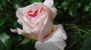 DSC01638