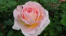 DSC01644