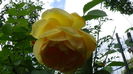 DSC01670