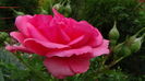 DSC01671