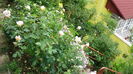 DSC01672
