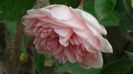 DSC01688