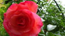 DSC01700