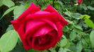DSC01704