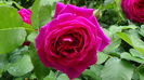 DSC01722