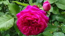 DSC01723