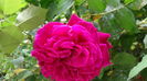 DSC01725