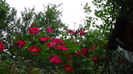 DSC01727