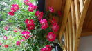 DSC01728