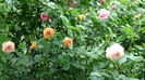 DSC01738
