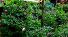 DSC01743