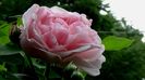 DSC01755