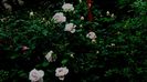 DSC01757