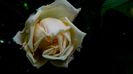 DSC01759