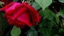 DSC01760