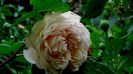 A Shropshire Lad