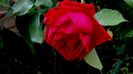 DSC01765