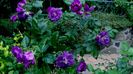 DSC01918