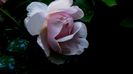 DSC01932