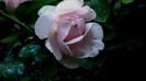 DSC01933