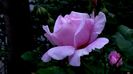DSC01941