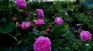 DSC01948