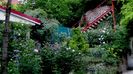 DSC01954