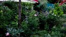 DSC01955