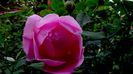 DSC02006