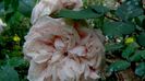 DSC02021